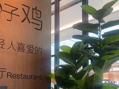 -同仁四季椰子鸡(无锡滨湖万象汇店)