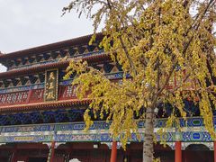 -章华寺