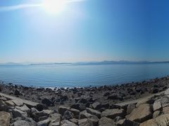 -深圳湾公园(南山区)