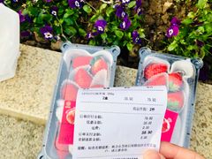 -盒马鲜生(杨高南路店)