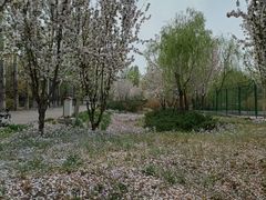 -颐和园西门停车场