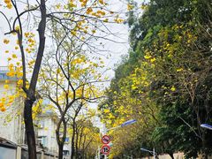 -人民公园(罗湖区)