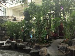 -东方华地城湿地温泉度假区