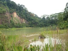 -武吉知马自然保护区