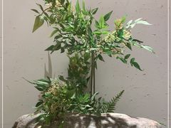 -蜜桃餐厅·伴山(绿宝广场店)