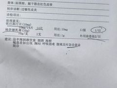 -汪说·狗咖·拼豆·宠物周边DIY(旺城大厦店)
