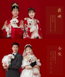 点击看大图 -CD视觉婚纱摄影