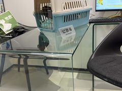 -立德异宠动物医院.兔鸟爬.内窥镜(天河店)