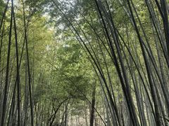 -敬亭山风景名胜区