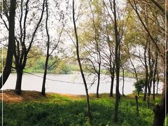 -蒲河岛湿地公园