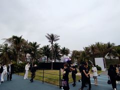 -欢乐海岸椰林沙滩-2025湾区超级灯会