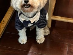 -仰生如卉推拿养生馆(酒仙桥店)