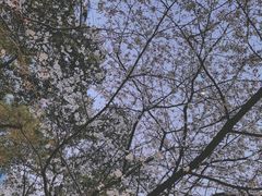 -玛格萝妮比萨屋(四平店)