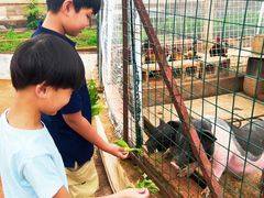 -昆明春城湖畔度假村