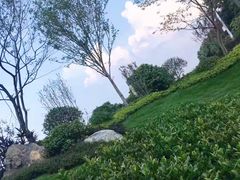 -红花山公园
