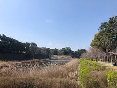 -名古屋城