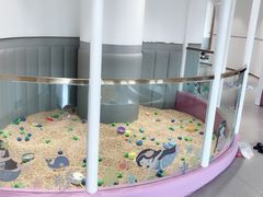 -龙格亲子游泳·水育早教运动中心(绿城店)