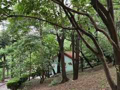 -观象山公园