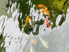 -园林格兰云天大酒店-太极名厨中餐厅