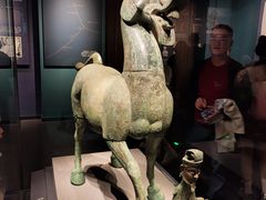 -广西壮族自治区博物馆