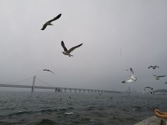 -星海广场