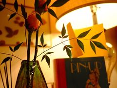 -花满楼(启秀路店)