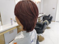 -YESIDO椰岛造型