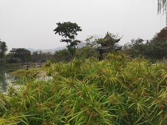 -四海公园(南山区)