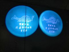 -白鹤梁水下博物馆