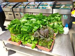 -老山东·山东菜(鲁菜名店)