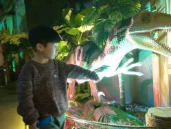 -恐龙探索乐园(磁器口店)