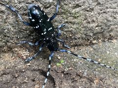 -广州神农草堂中医药博物馆