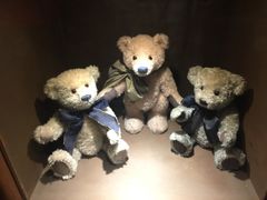 -济州岛泰迪熊博物馆