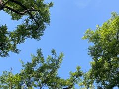 -青岛市江苏路基督教堂