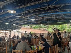 -桃源山庄·水蜜桃采摘·柴火鸡·烧烤团建(龙泉山店)