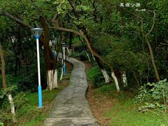 -佛山华盖山公园