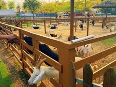 -盈香心动乐园