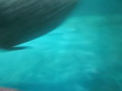 -嘉兴海底世界