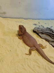 -Zoolung Zoolung动物主题公园(海信广场店)