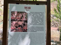 -灵溪风景区