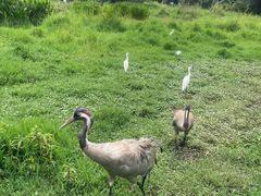 -普洱太阳河森林公园