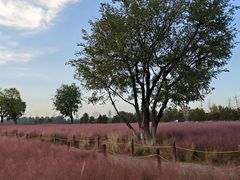 -汉长安城未央宫国家考古遗址公园