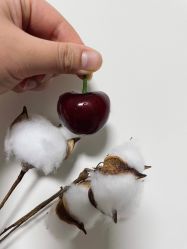 -Oasis Beauty水磨坊科技美肤中心