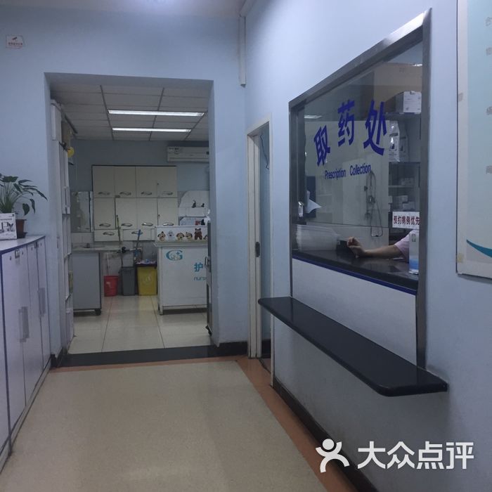 观赏动物医院24h