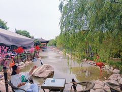 -茯茶镇