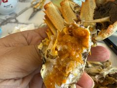 -蟹天蟹地农家菜·阳澄湖大闸蟹(浅水湾店)