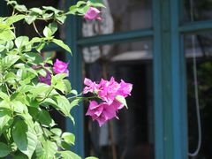 -SEN CASTLE城堡西餐(创意设计中心店)