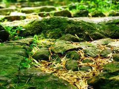 -会稽山峡洞漂流-上青古道