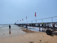 -日照海滨国家森林公园