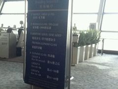 -新加坡航空公司(ION)